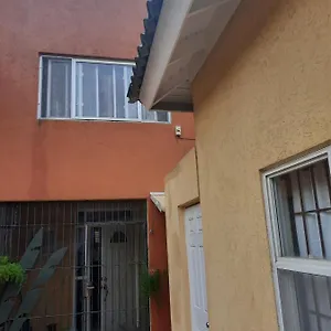  Apartment Oasis Realm